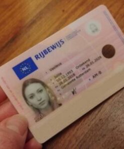 How to Get Netherlands Drivers License
