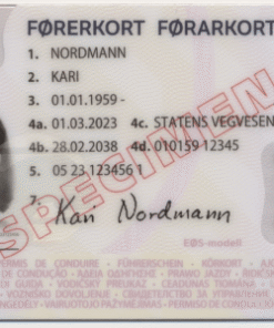Purchase Norwegian drivers License without exam