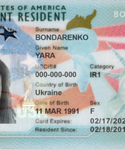 Buy Authentic American Green Card